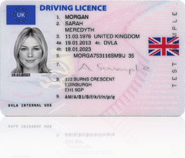 Generic UK driver's licence.