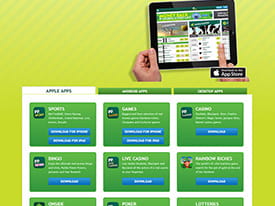 Preview of Info About the Paddy Power Mobile Casino